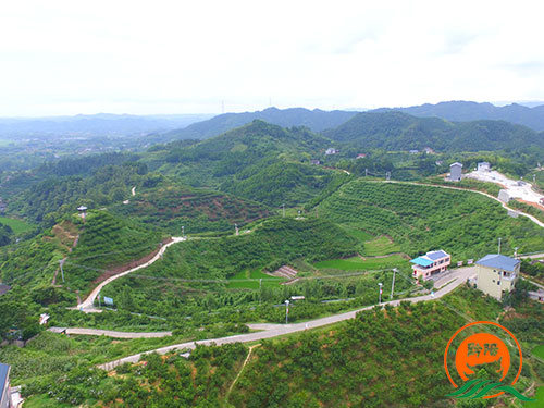 黔陽瞐黔陽黃桃產(chǎn)業(yè)園2 黔陽瞐黔陽黃桃產(chǎn)業(yè)園2