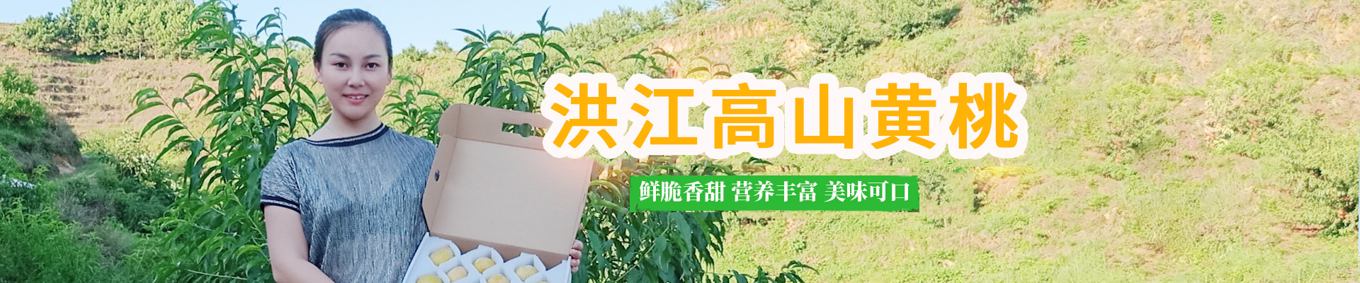 洪江市禹甜科技有限公司_黔陽(yáng)瞐_農(nóng)產(chǎn)品的批發(fā)零售
